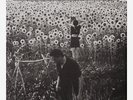 JESU / SUN KIL MOON - SILVER WITH BLACK SPLATTER 2xLP- 300 MADE - MARK KOZELEK