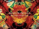 BABY DARLING DOLL FACE HONEY - BAND OF SKULLS - Vinyl LP