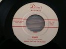 Johnny Fay and the Blazers Rare Ohio Rock-a-Billy Dani Records 45 RPM