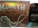 MAMMOTH s/t RARE PRIVATE 1981 FLORIDA ROCK Lp on RNA RECORDS *NEAR MINT*