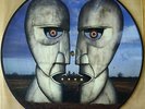 SUPER  PINK FLOYD THE DIVISION BELL VINYL LP PICTURE PIC DISC