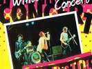 SEX PISTOLS - WINTERLAND CONCERT (SPDLP-3420) AWESOME QUALITY NEW DOUBLE LP 2LP