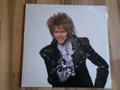 David Bowie Vinyl LP Into the Labyrinth 1989 Zustand Sehr Gut /Neuwertig