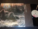 REM Murmur 1st Press Sterling  IRS Records LP New Wave Psych EX