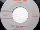 the FOUR MINTS doowop 45 WHAT 'CHA GONNA DO / NIGHT AIR mint minus e0534