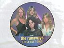 The Runaways Lost Little Girls Picture Disc 1981 Rhino RNDF-250 Orig US Press NM