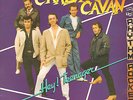 CRAZY CAVAN `N`RHyTHM ROCKERS-LP- HEY TEENAGER-BIG BEAT- 1982-TOPMINT