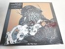 THE JOY FORMIDABLE - THE BIG ROAR BC SLASH 2011-LP/Vinyl/Record