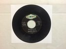 Beach Boys Surfin Luau Original Candix 301 US 1962 45 RPM Surf Brian Wilson 7