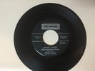 R&B 45 RPM RECORD - BUDDY LUCAS - TRU-SOUND 416