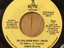 JIMMY DELPHS 70s soul 45 Do You Know What I Mean   DSSI
