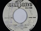 Reggae 45 WILLOWS Send Another Moses on Coxsone