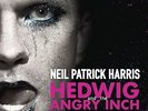 VARIOUS ARTISTS**HEDWIG AND THE ANGRY INCH (WITH DOWNLOAD)**VINYL