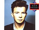 RICK ASTLEY Hold Me In Your Arms 1988 Vinyl LP Record EXCELLENT CONDITION