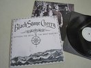 BLACK STONE CHERRY - BETWEEN THE DEVIL & THE DEEP BLUE SEA Vinyl LP