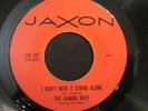 The Gamma Rays – I Don't Need A String Along - Infinity 45 Record JAX101