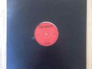 Lee Perry & The Full Experiences  Disco Devil 12