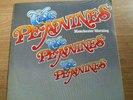 The Pennines manchester Morning Ultra rare  in stunning condition psych folk
