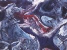 Cinder - 2 DISC SET - Dirty Three (2005, Vinyl NEUF)
