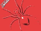 SPIDERS FROM MARS Spiders From Mars 180G Vinyl LP