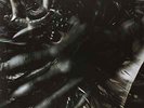 Scott Walker-Tilt  VINYL NEW