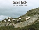 DEMON HEAD - RIDE THE WILDERNESS  VINYL LP + DOWNLOAD NEW