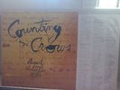 COUNTING CROWS AUGUST AND EVERYTHING AFTER LP RECORD GEFFEN ORIGINAL HOLLAND 93