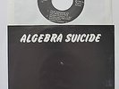 ALGEBRA SUICIDE  True Romance EP 1982 Chicago minimal synth ( Patti Smith fans)