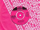 THE FIVE AMERICANS *I SEE THE LIGHT* 1965 BEAT