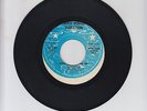 THIRD WORLD VIBRATION/ NEVER GONNA GIVE UP -  ERIC CLARKE (77 REGGAE ROCKERS 7