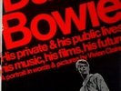 DAVID BOWIE 2 RARE BOOKS PORTRAIT IN WORDS VIVIAN CLAIRE PLUS JUST A GIGOLO