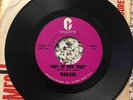 The WAILERS 