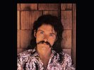 Jesse Colin Young - Song for Juli - Audio Fidelity 2016 vinyl sealed