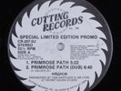 HASHIM Primrose Path CUTTING 12