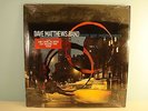 DAVE MATTHEWS BEFORE THESE CROWDED STREETS VINYL LP NM NICE