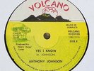 Anthony Johnson 