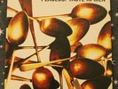 Placebo ?– Taste In Men.12
