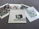 FLEETWOOD MAC- TUSK - 1979 DOUBLE LP WITH ALL 4 INNER SLEEVES EX - LOOK IN SHOP
