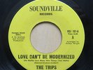 THE TRIPS Love Can't Be Modernized / There's A Mountain US 7