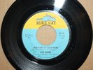 EVIE SANDS Take Me For A While RUN HOME TO YOUR MAMA Northern 45 on BLUE CAT 118