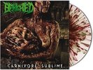 BENIGHTED - Carnivore Sublime [SPLATTER] (LP)