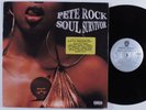 PETE ROCK Soul Survivor RCA 2xLP VG+ promo