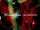 Mountain Goats Tallahassee LP vinyl record sealed silver jews okkervil river
