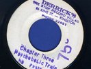 1288  CRYSTALITES-PSYCHEDELIC TRAIN CHAPTER THREE-DERRICKS- REGGAE 45 7