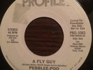 RARE RAP 45: Peblee-Poo - A Fly Guy PROMO 1985 NM Old School Hip Hop