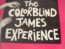 The Colorblind James Experience NEAR MINT Fundamental Vinyl LP