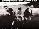 Check Your Head [Remastered Edition] [Parental Advisory] by Beastie Boys.