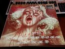 Disastrous murmur Rhapsodie in Red lp vinyl...MONSTROSITY  deicide rare cannibal