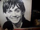 Iggy Pop Lust For Life - 1977 Rca 1-2488