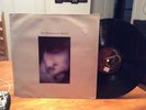 THE HOMOSEXUALS: The Homosexuals' Record, Recommended Records,  LP